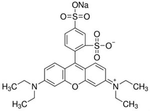 Sulforhodamine B  Dye content 75 %, Frasco com 1 grama, mod.: 230162-1G (Sigma)