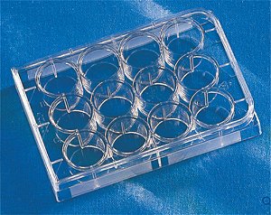 Microplaca para cultivo celular, 12 poços, fundo chato, tratamento TC, com tampa, estéril, caixa com 50 unidades 3513 (Corning)
