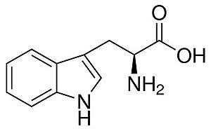 L-Triptofano, CAS 73-22-3 , Frasco 25 g (Neon)