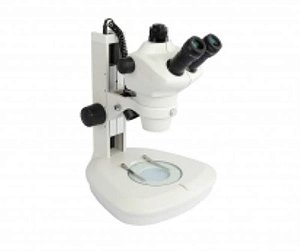 Estereomicroscópio Binocular com Zoom (Aumento) de 8-50x, Luz em LED (Biofocus)