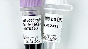 Marcador de peso molecular, 100pb (Neb)