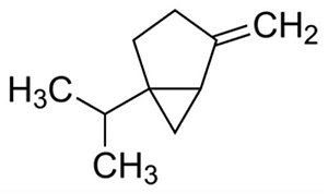 Sabinene natural, 75%, Frasco com 1000 gramas, mod.: W530597-1KG-K (Sigma)