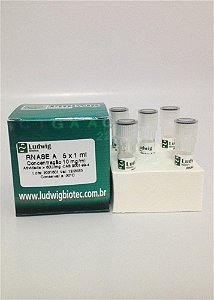 RNAse A (Ribonuclease A), concentração10 mg/ml, CAS 9001-99-4, frasco com 5 mL RNASEA (Ludwig)