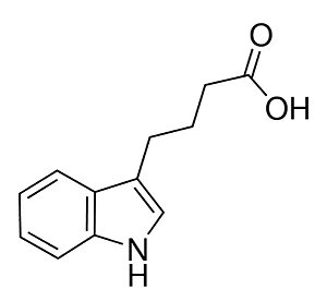 Indole-3-butyric acid, ≥99.0% (T), CAS 133-32-4, frasco com 5 gramas 57310-5G-F (SIGMA)