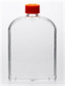 ⛔ Frasco para cultivo celular 175 cm2, com filtro, PS, TCT, frasco em forma de U, pescoço angulado, unidade 431080-UND (Corning)