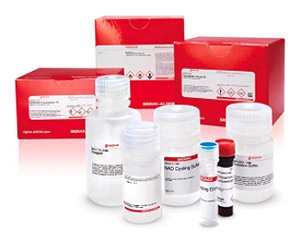 ❆❆ Lipid Peroxidation (MDA) Assay Kit, sufficient for 100 colorimetric or fluorometric tests MAK085-1KT (Sigma)