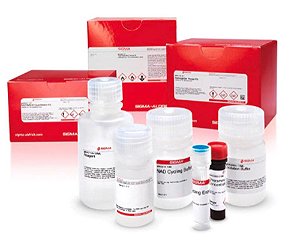 ❆❆ Lactate Assay Kit, sufficient for 100 colorimetric or fluorometric tests MAK064-1KT (SIGMA)