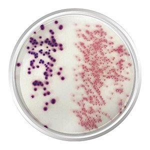 Agar Cromogênico E.coli Coliformes (CCA, ISO 9208-1), Frasco com 500 g, mod.: K25-2080 (Kasvi)