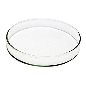 Placa de Petri para Microbiologia 100x15mm em Vidro, caixa c/48 unidades (Precision)