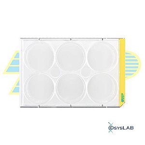 Microplaca para cultivo celular, 6 poços, fundo chato, PS, com tampa, caixa com 126 unidades 92006 (TPP)