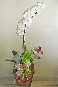 Orquídea phalaenopsis branca