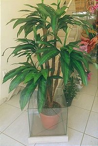 DRACENA ARTIFICIAL 3 X NO CARTÃO