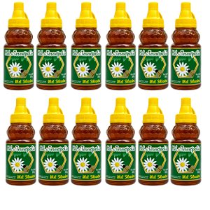 Mel Silvestre Puro De Teresopolis 260g kit 12 unidades