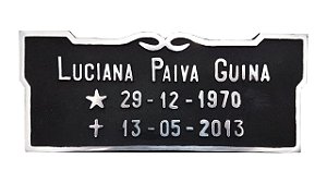 Placa em alumínio 6x25