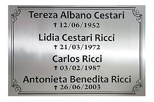Placa em inox 20x30