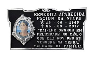 Placa 15x30 alumínio com foto