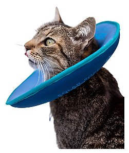 Colar Soft Ultraleve Gatos - Petroleo/Turquesa - Tam. P