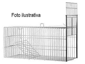 Gatoeira p/ Gato Reta