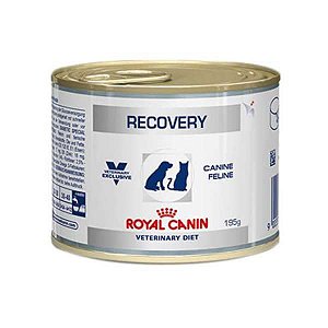 Royal Canin Recovery 195g