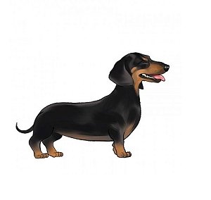 Adesivo Alto Relevo Dachshund