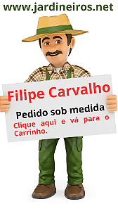 Cliente Filipe Carvalho