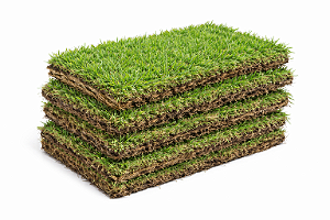 Grama São Carlos - Por m²