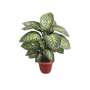 Comigo Ninguém Pode - 60 a 80 cm