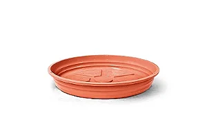 Prato Redondo para Vasos - 36 cm