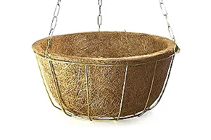 Kit Cuia Nutricoco Gigante - 36 cm