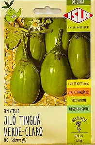 Sementes de Jiló Tinguá Verde-Claro