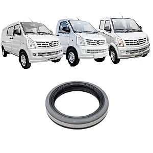 Retentor Da Roda Traseira Semi Eixo Com Abs | Effa V21 E V22 E V25