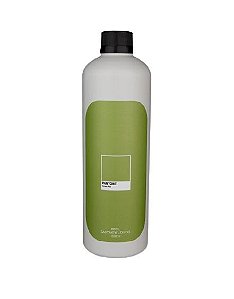 REFIL SABONETE LIQUIDO GREEN FIG PANTONE LENVIE - 500ML