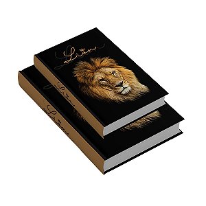 KIT 2 CAIXAS LIVRO DECORATIVA LION COLORIDO