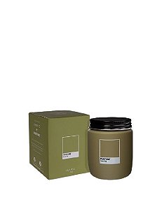 VELA POTE GREEN FIG LINHA PANTONE LENVIE - 170GR