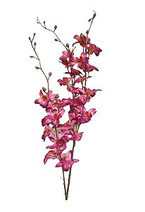 Haste de Flor de Orquidea Cymbidium Pink 90cm