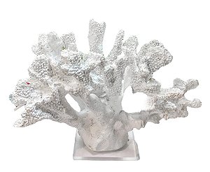 ESCULTURA CORAL LARGO BRANCO COM BASE ACRILICA