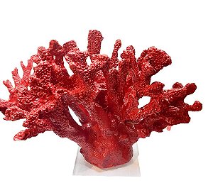 ESCULTURA CORAL LARGO VERMELHO COM BASE ACRILICA