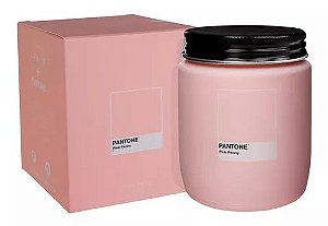 VELA POTE PINK PEONY PANTONE LENVIE - 170GR