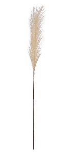 CAPIM DOS PAMPAS PLUMA (CREME) 75cm