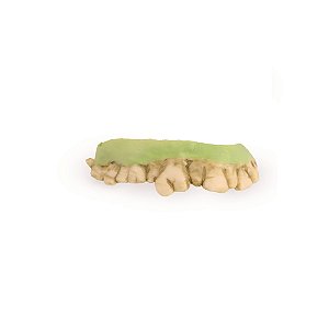 DENTE DE ZUMBI VERDE HALLOWENN