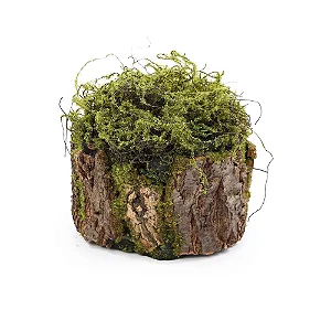TRONCO DECORATIVO COM MUSGO E MADEIRA TAM G