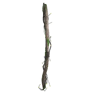 GALHO DECORATIVO LONGO COM MUSGO MRR/VRD 180CM