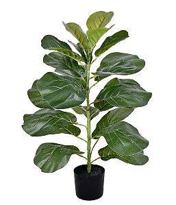 ARVORE PERMANENTE FOLHAGEM FICUS LIRATA X21 FOLHAS NO POTE