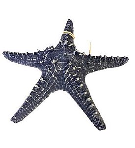 Estrela do mar Decorativa Azul em resina 22cm
