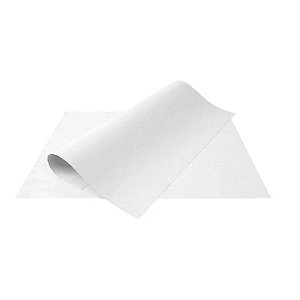 Cartolina Escolar Anin Branco 50 x 66cm 120g com 100 Folhas