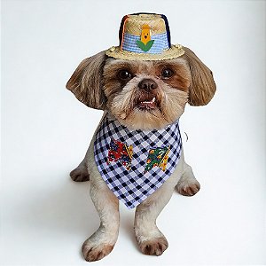 Conjunto Pet Festa Junina Bandana e Chapéu de Palha