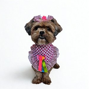 Conjunto Pet Bandana e Mini Chapéu de Palha Festa Junina Femea