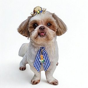Conjunto Pet Gravata e Mini chapéu de Palha