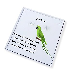 Brinco ponto de luz de aço + Caixa Presente Mãe de Papagaio