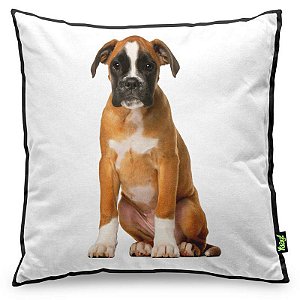 Almofada Love Dogs Black Edition - Boxer